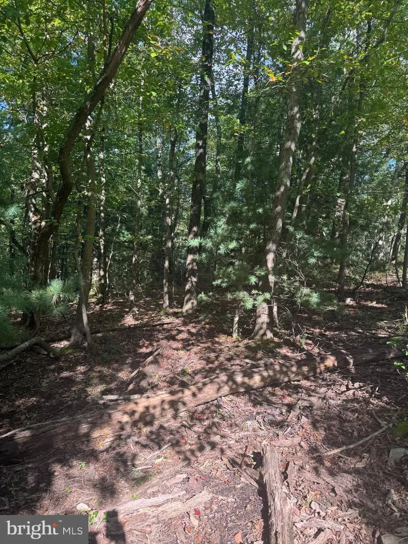 290 HIRSCHMANN ROAD Biglerville, PA 17307