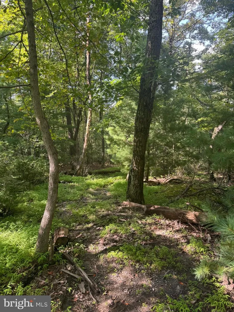 290 HIRSCHMANN ROAD Biglerville, PA 17307