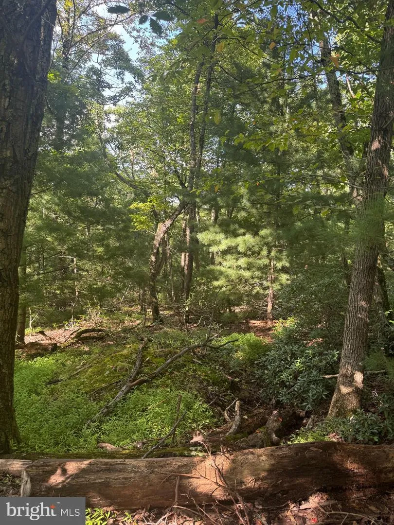 290 HIRSCHMANN ROAD Biglerville, PA 17307