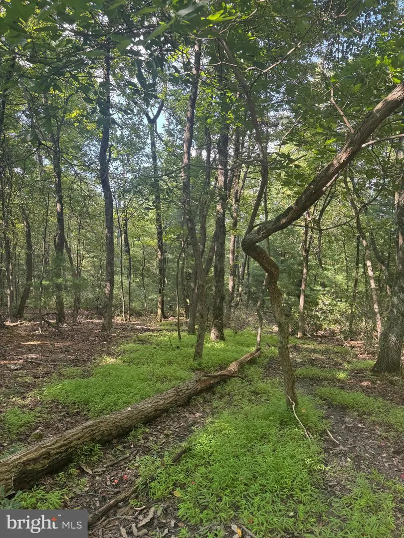 290 HIRSCHMANN ROAD Biglerville, PA 17307
