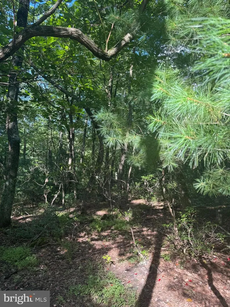 290 HIRSCHMANN ROAD Biglerville, PA 17307