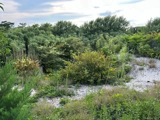 185 Holly Walk Cherry Grove, NY 11782