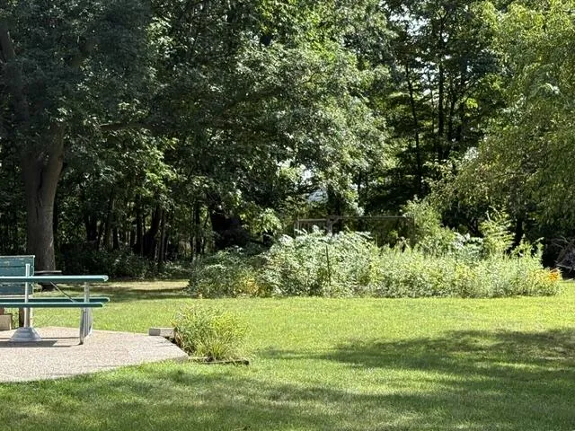 9751 W Howard City-Edmore Lakeview, MI 48850