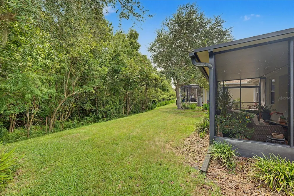 29358 GRASS BUNKER DRIVE San Antonio, FL 33576