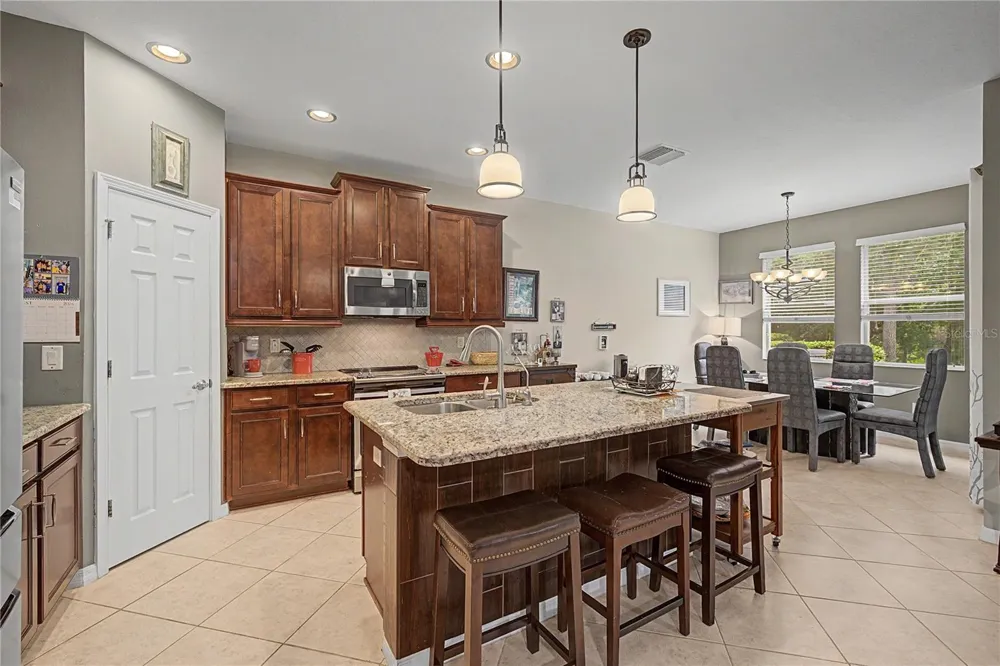 29358 GRASS BUNKER DRIVE San Antonio, FL 33576