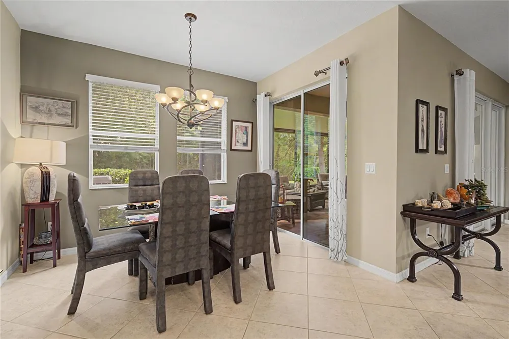 29358 GRASS BUNKER DRIVE San Antonio, FL 33576