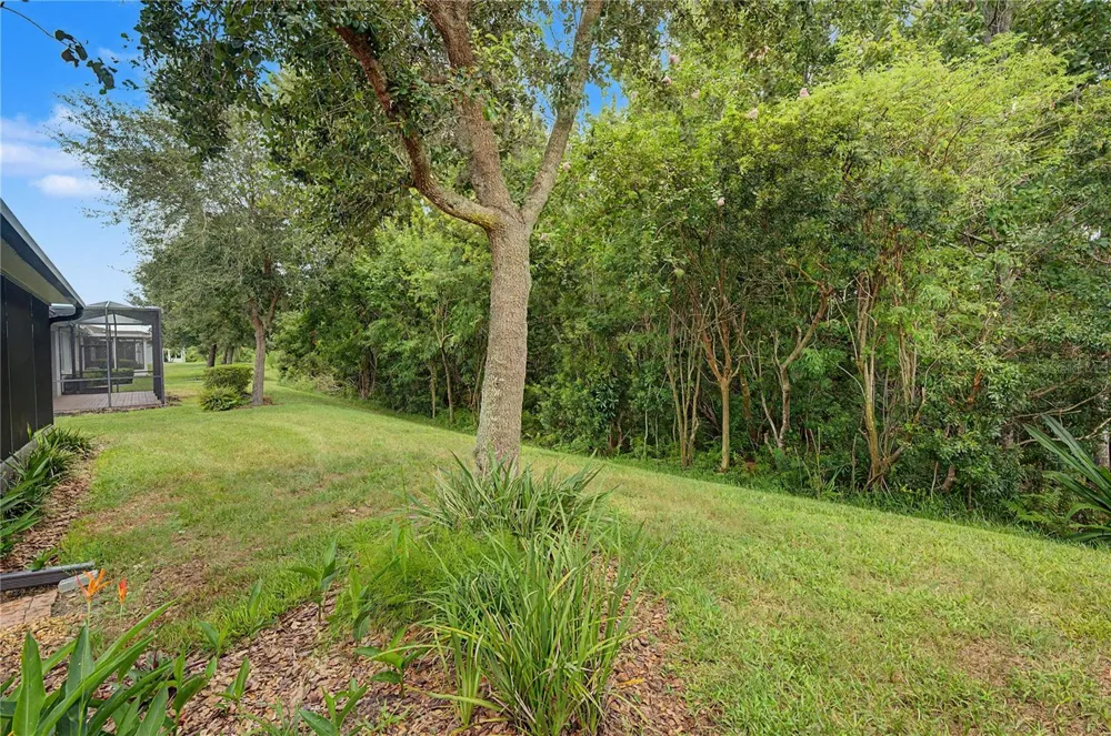 29358 GRASS BUNKER DRIVE San Antonio, FL 33576