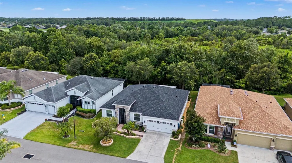 29358 GRASS BUNKER DRIVE San Antonio, FL 33576