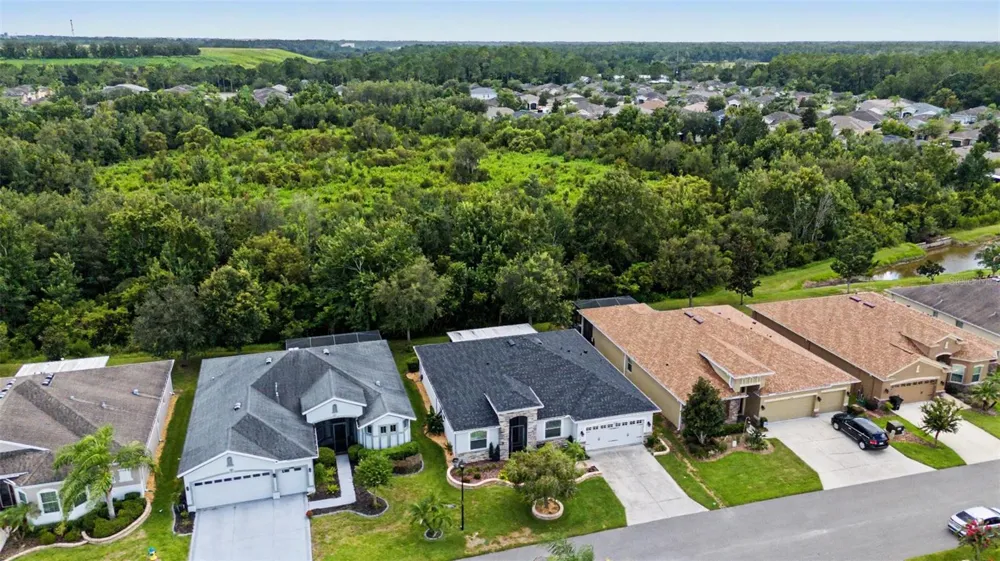 29358 GRASS BUNKER DRIVE San Antonio, FL 33576