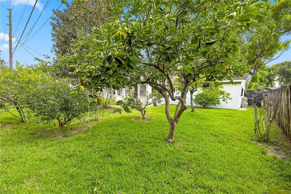 622 MARTIN AVENUE Altamonte Springs, FL 32701