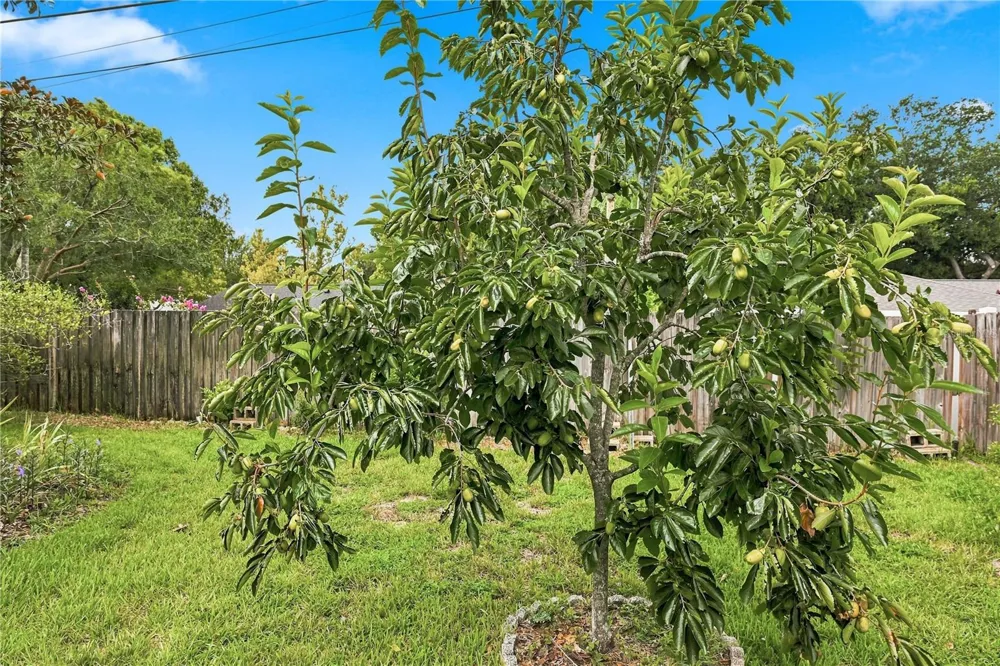 622 MARTIN AVENUE Altamonte Springs, FL 32701