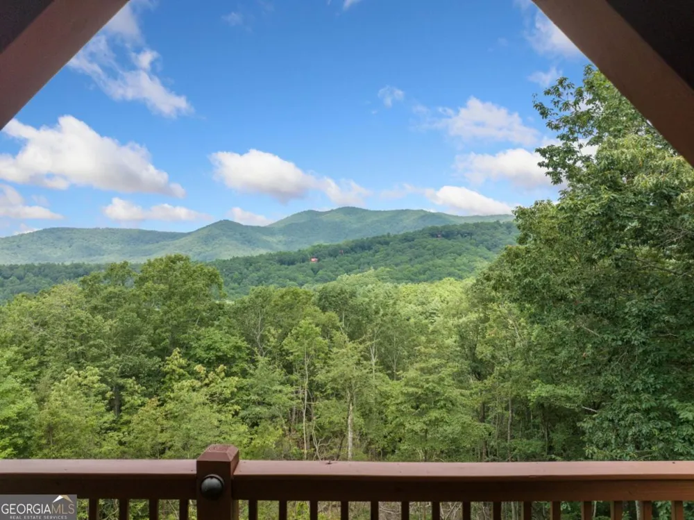 551 Amy Creek CIR Ellijay, GA 30540