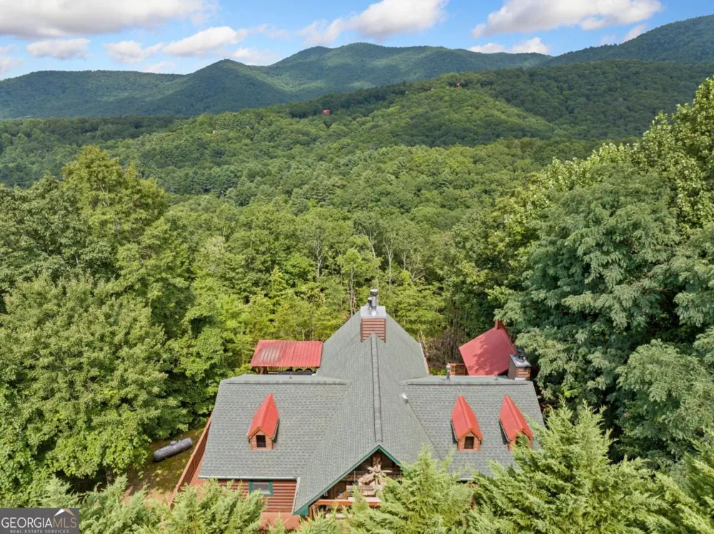 551 Amy Creek CIR Ellijay, GA 30540
