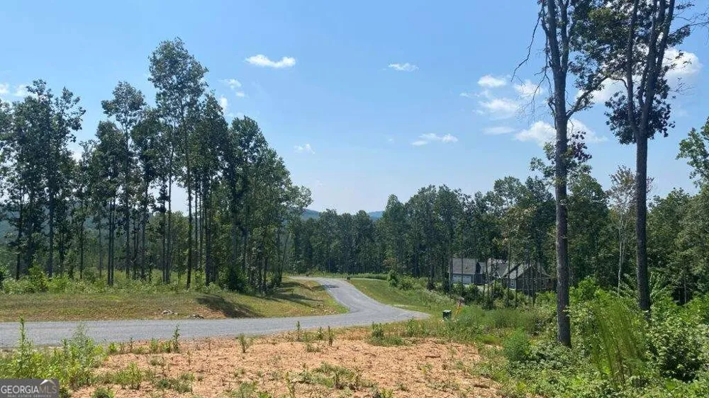 1084 Highgrove DR Talking Rock, GA 30175