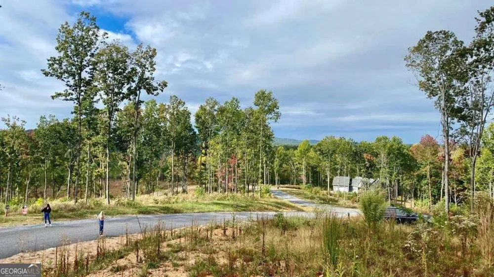 1084 Highgrove DR Talking Rock, GA 30175