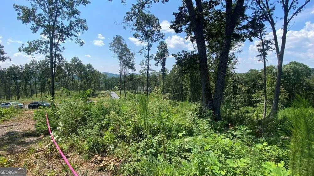 1084 Highgrove DR Talking Rock, GA 30175