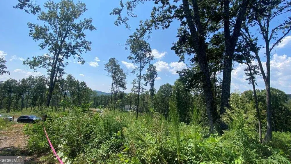 1084 Highgrove DR Talking Rock, GA 30175