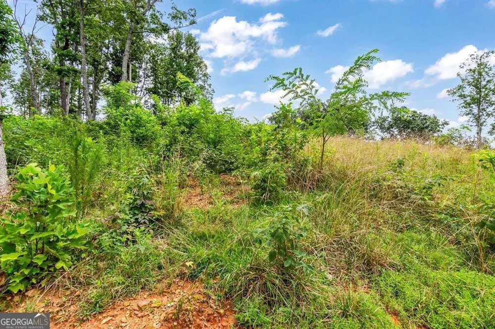 1084 Highgrove DR Talking Rock, GA 30175
