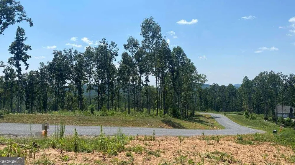 1084 Highgrove DR Talking Rock, GA 30175