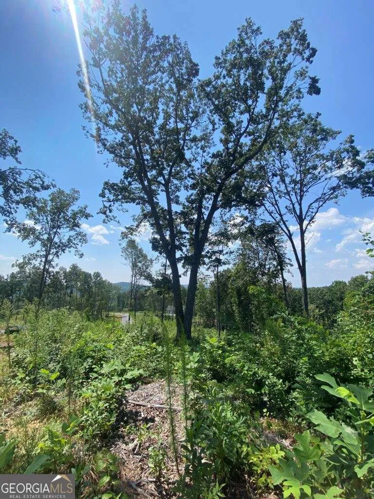 1084 Highgrove DR Talking Rock, GA 30175