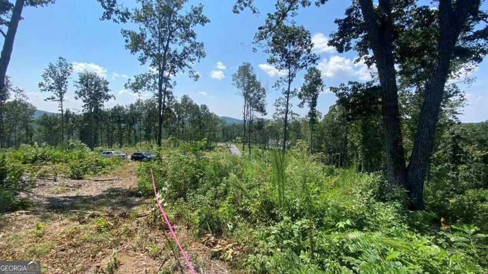 1084 Highgrove DR Talking Rock, GA 30175