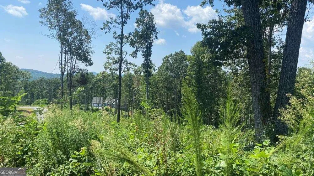 1084 Highgrove DR Talking Rock, GA 30175