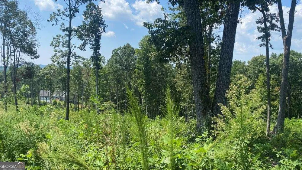1084 Highgrove DR Talking Rock, GA 30175
