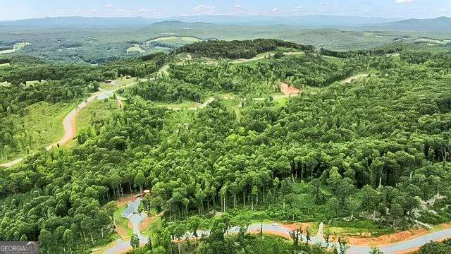 1084 Highgrove DR Talking Rock, GA 30175