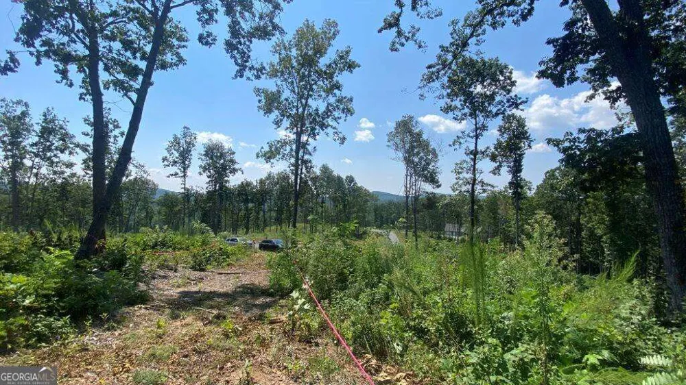 1084 Highgrove DR Talking Rock, GA 30175