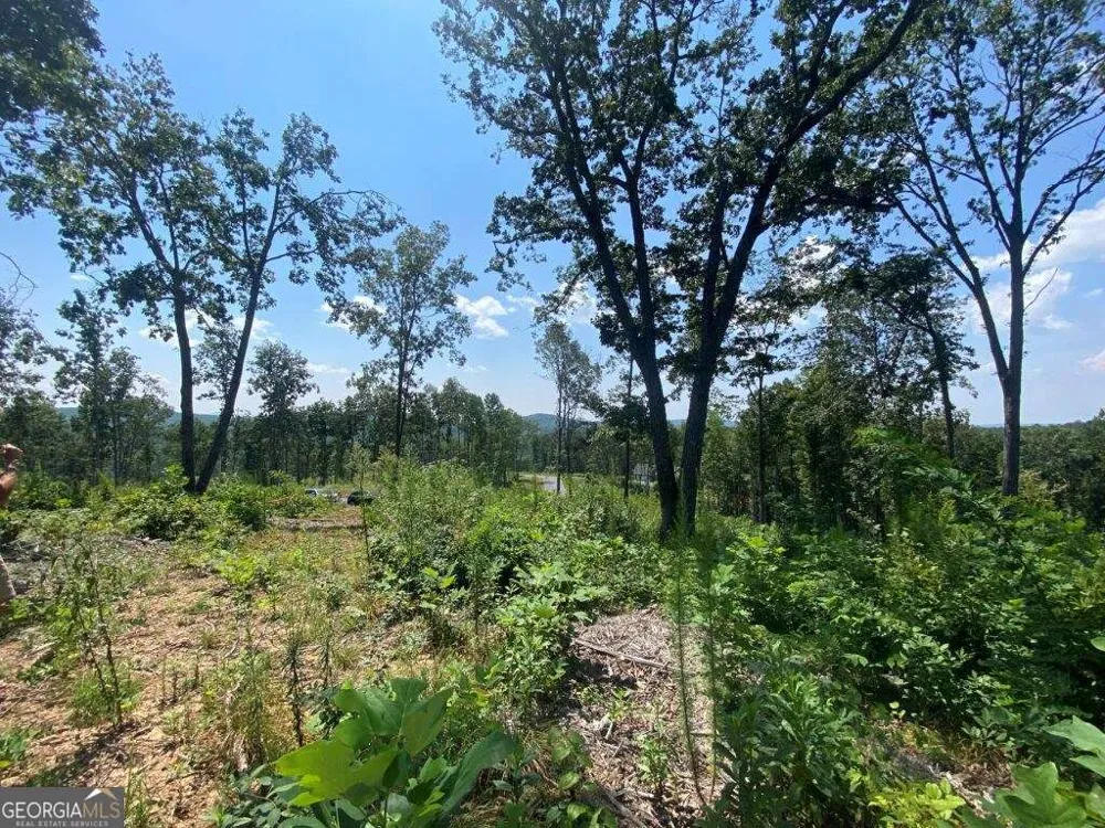 1084 Highgrove DR Talking Rock, GA 30175