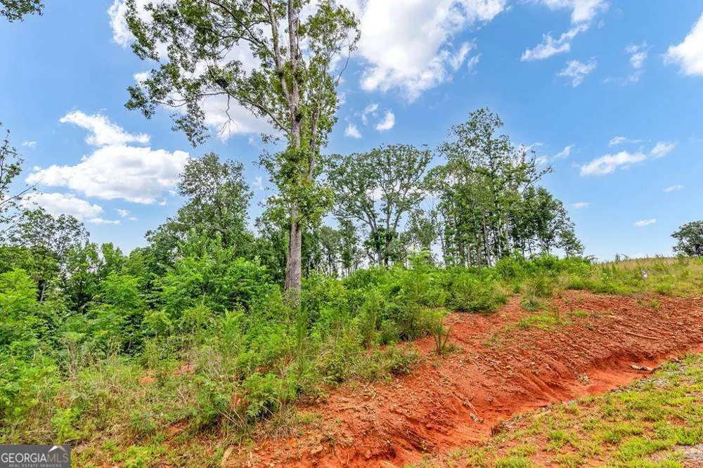 1084 Highgrove DR Talking Rock, GA 30175