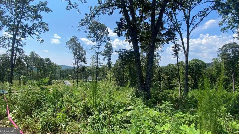1084 Highgrove DR Talking Rock, GA 30175