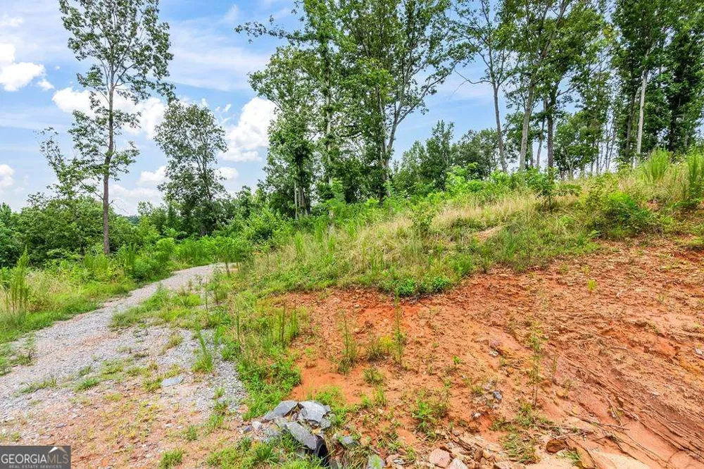 1084 Highgrove DR Talking Rock, GA 30175