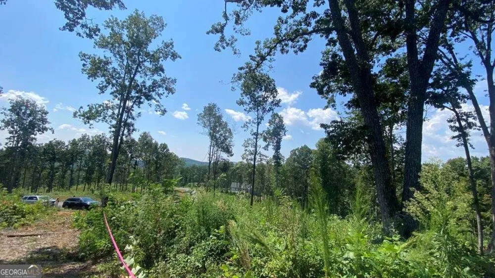 1084 Highgrove DR Talking Rock, GA 30175