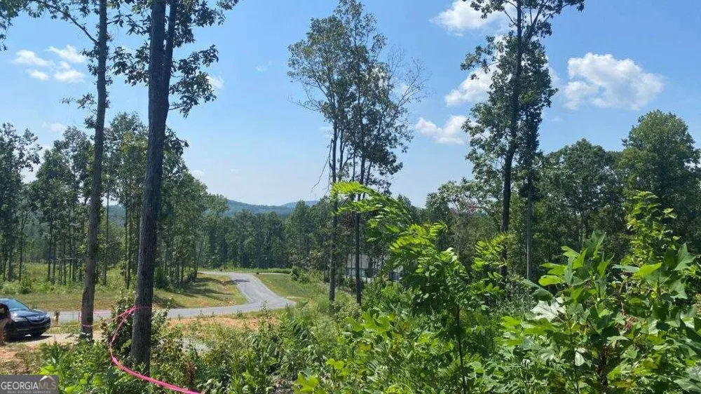 1084 Highgrove DR Talking Rock, GA 30175