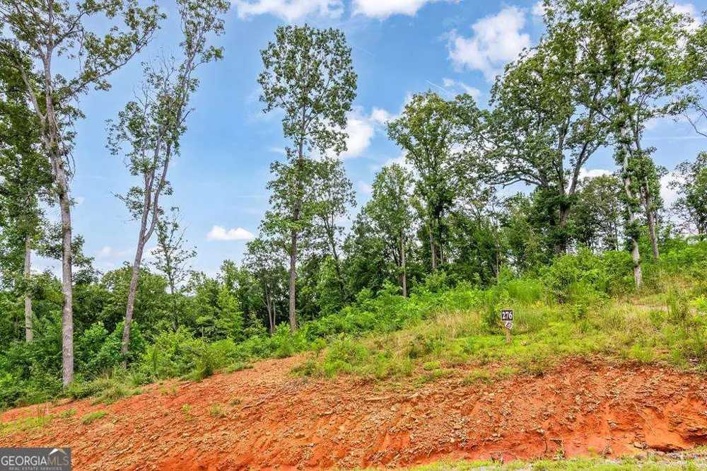 1084 Highgrove DR Talking Rock, GA 30175