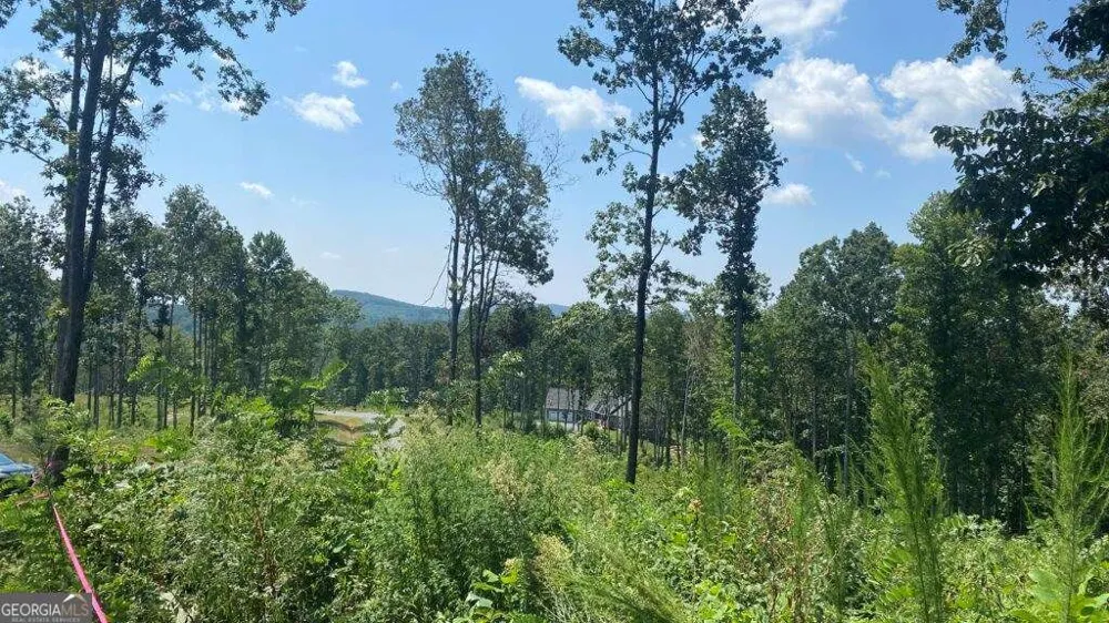 1084 Highgrove DR Talking Rock, GA 30175
