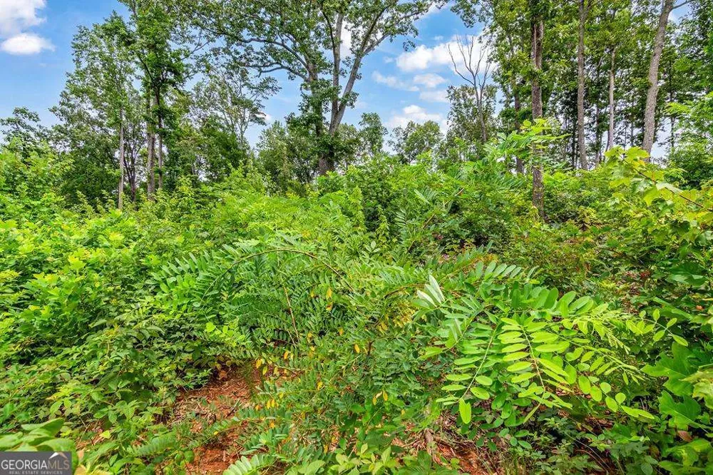 1084 Highgrove DR Talking Rock, GA 30175