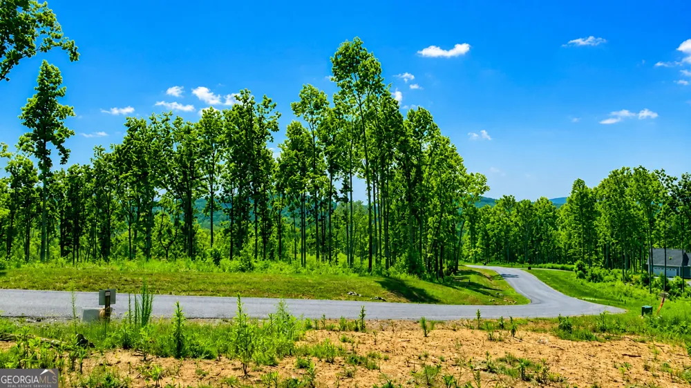 1084 Highgrove DR Talking Rock, GA 30175