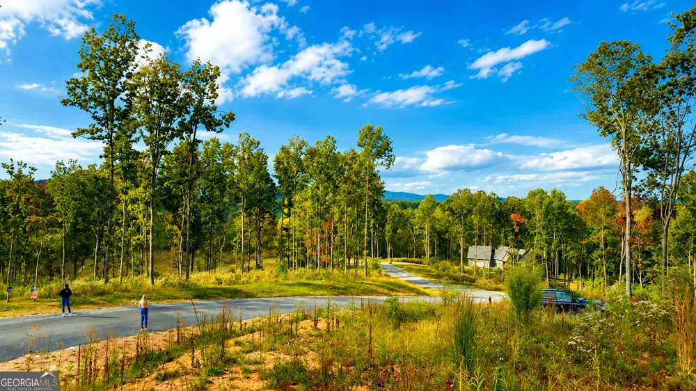 1084 Highgrove DR Talking Rock, GA 30175