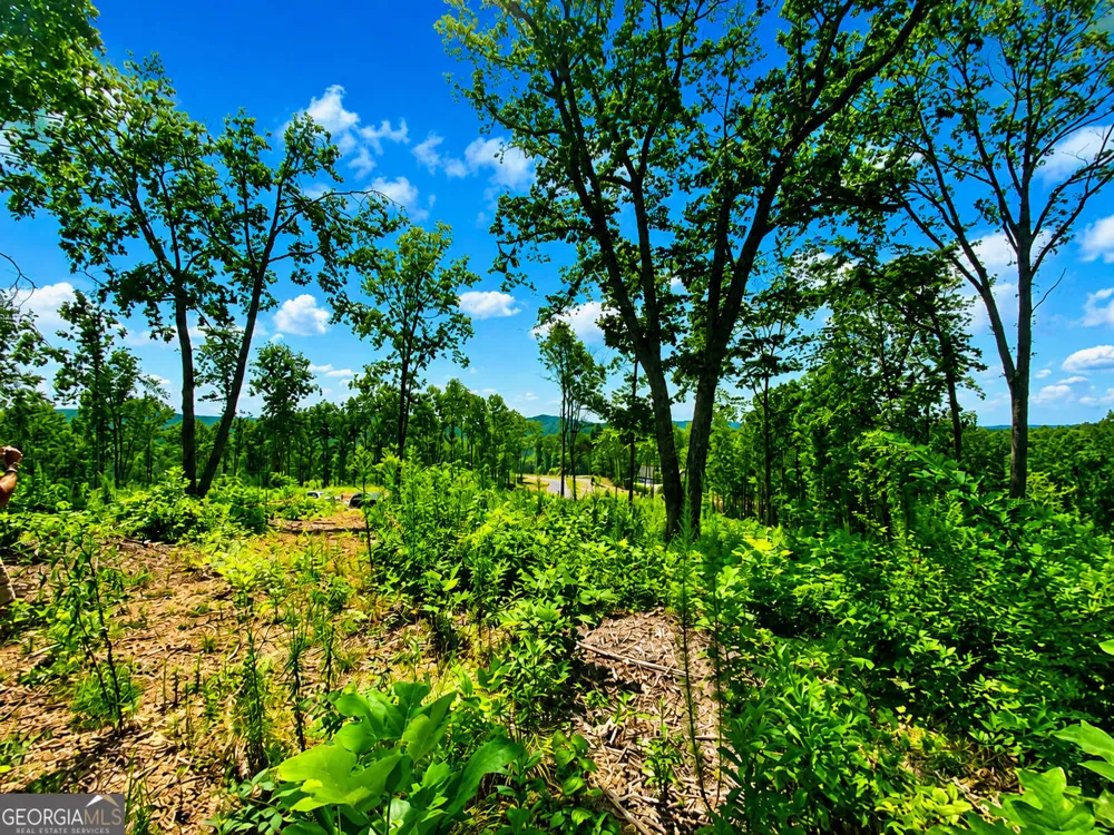 1084 Highgrove DR Talking Rock, GA 30175