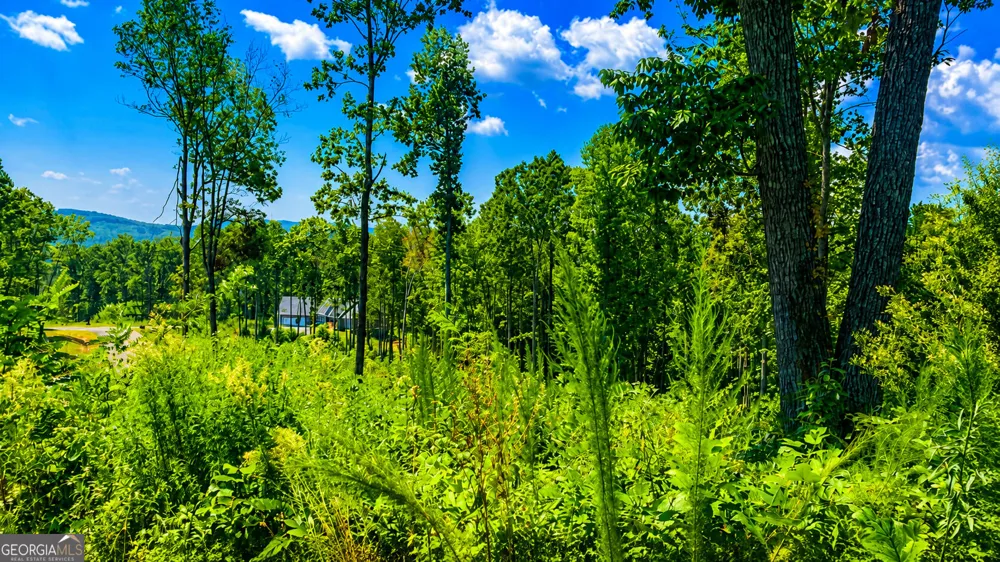 1084 Highgrove DR Talking Rock, GA 30175