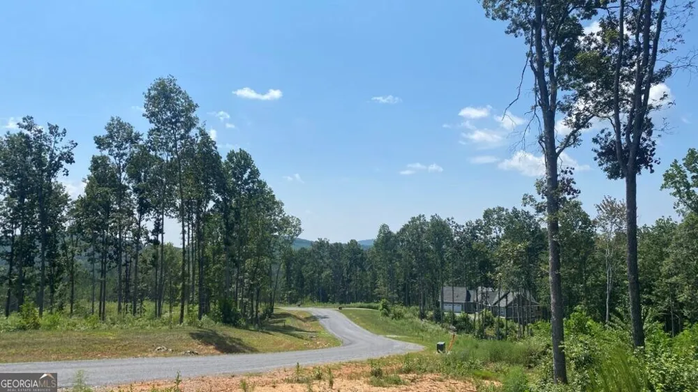1084 Highgrove DR Talking Rock, GA 30175