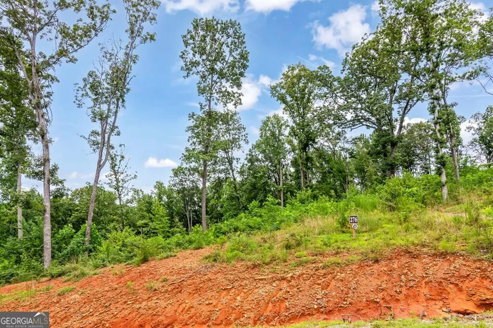 1084 Highgrove DR Talking Rock, GA 30175