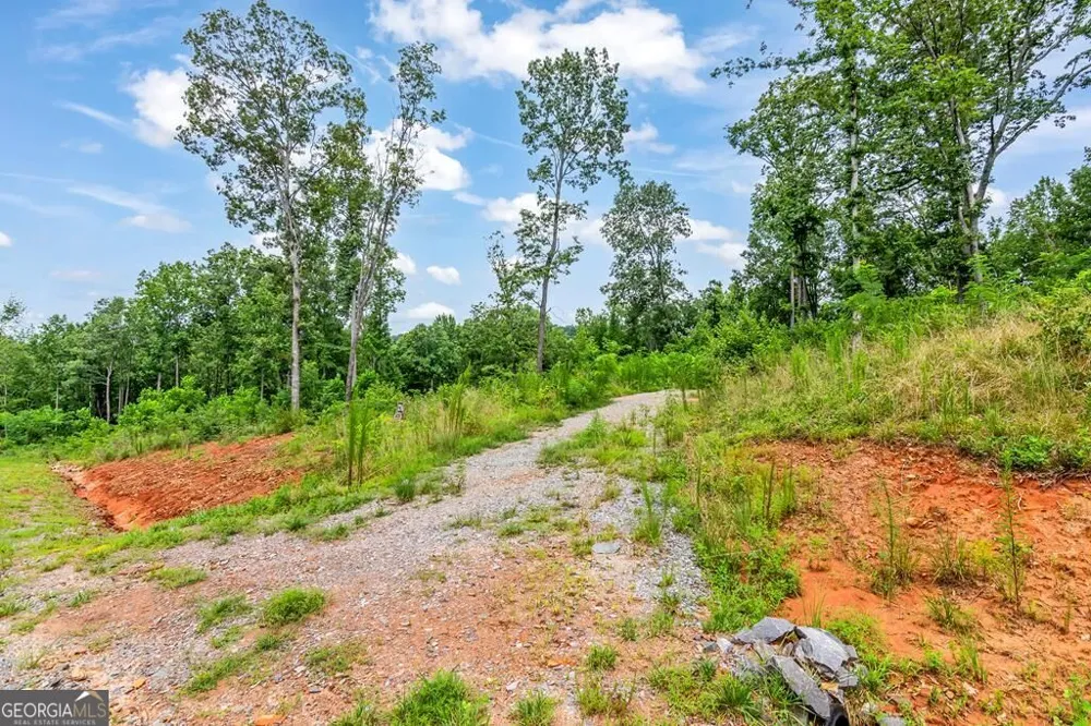 1084 Highgrove DR Talking Rock, GA 30175