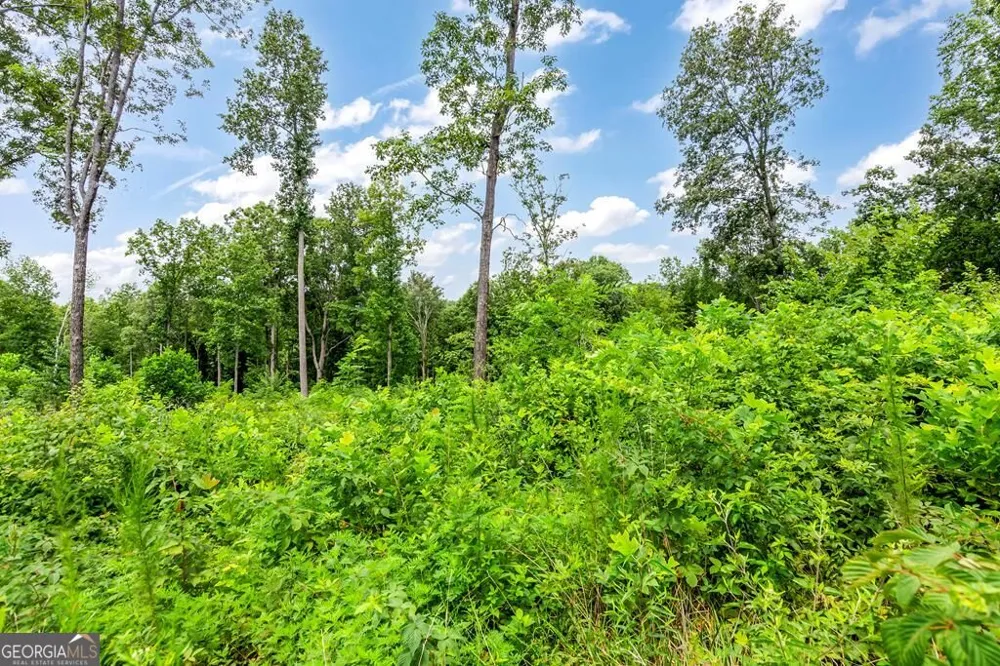 1084 Highgrove DR Talking Rock, GA 30175