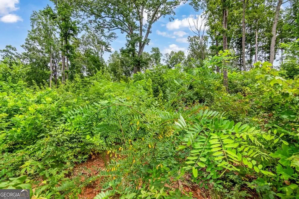 1084 Highgrove DR Talking Rock, GA 30175