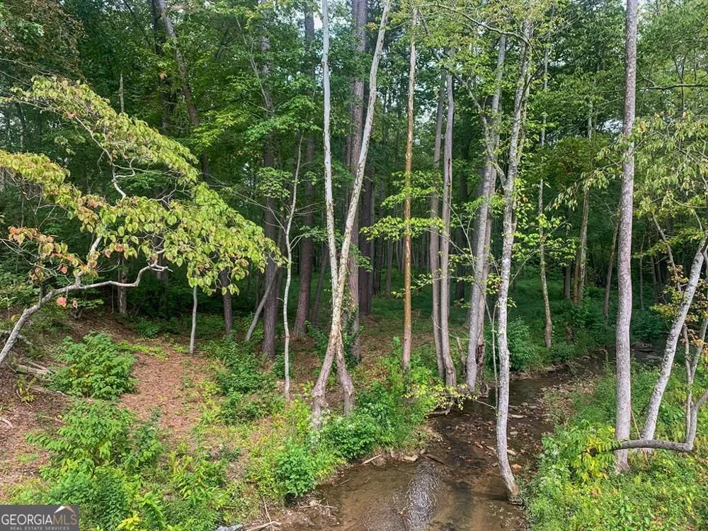 1084 Highgrove DR Talking Rock, GA 30175