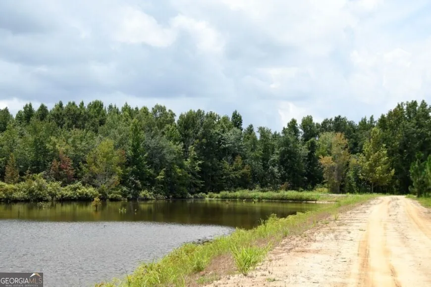 0 Highway 25 S Waynesboro, GA 30830