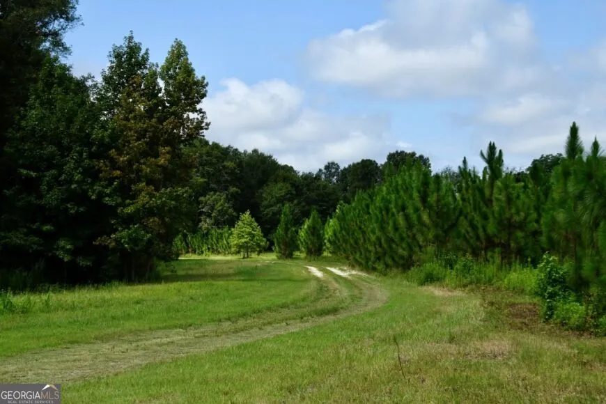 0 Highway 25 S Waynesboro, GA 30830